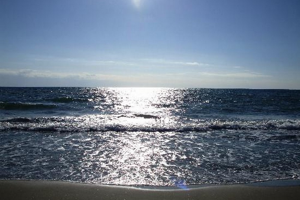 Marina Living Rooms & Pool